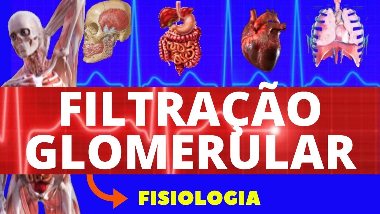 FILTRAÇÃO GLOMERULAR, REABSORÇÃO E SECREÇÃO - FISIOLOGIA DE GUYTON - FISIOLOGIA RENAL
