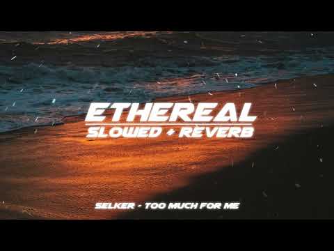 selker - too much for me (slowed + reverb)