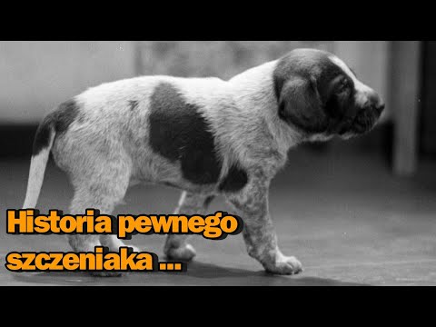 "Lejek" (1957) /CAŁY FILM/