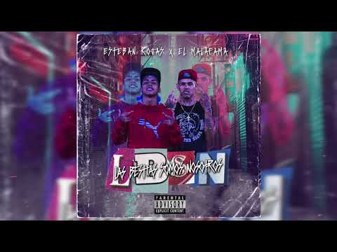 LOWKEY REMIX - El Malafama x Esteban Rojas Ft Pirlo420 (LBSN)
