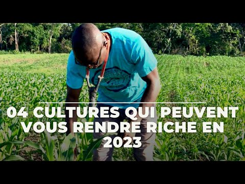 , title : 'COMMENT DEVENIR RICHE EN 2023 AVEC L’AGRICULTURE'