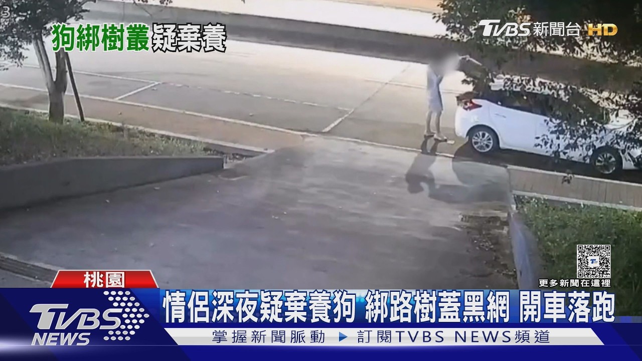 影音/凌晨牽狗下車「回來卻沒了」!民眾循線找到 牠瘦成皮包骨發抖