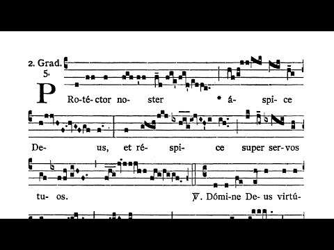 Dominica V post Pentecosten (V Sunday after Pentecost) - Graduale (Protector noster)