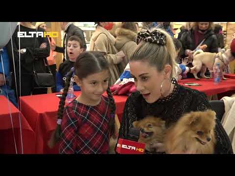 BL HRONIKA 01 03 22 - IZLOŽBA PASA