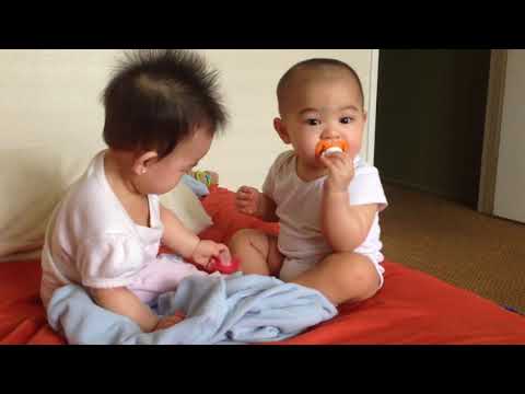 Funny Twins Baby Fighting Everyday - Best Reactions