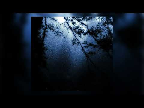 seen twice, DXSTINY, HOOL - IS IT OK NOW? (Slowed & Reverb)