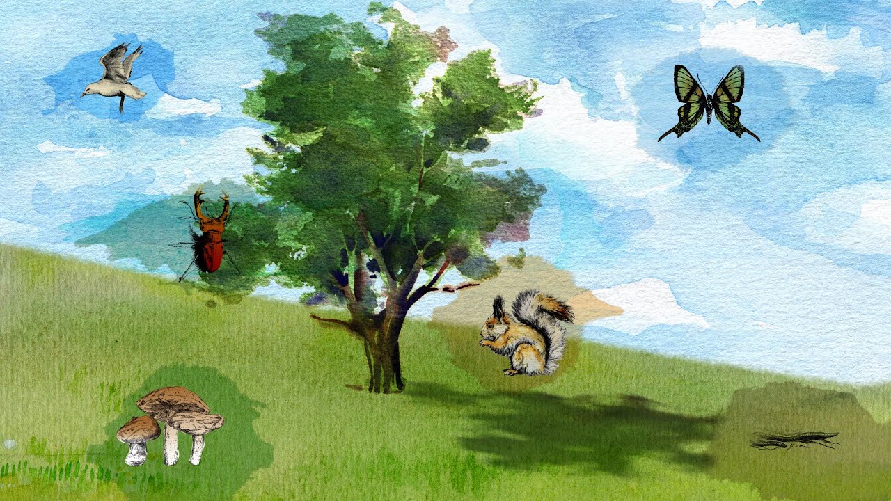 NOVA's Evolution Lab Trailer