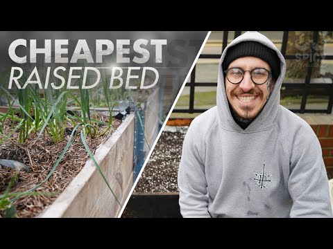 Cheapest way to make and fill up a Raised Bed | Hugelkultur
