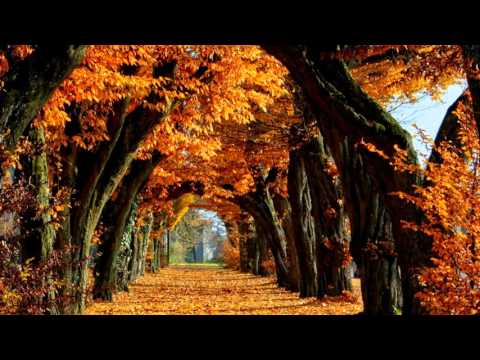 The Daydream~ Serenade In Autumn