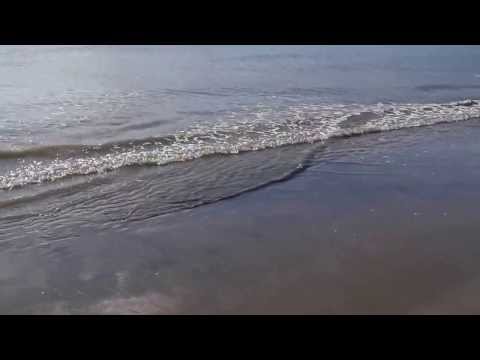 Scarborough September 2013 (00003)