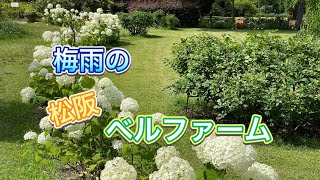 ◇ベルファーム◆ヴィソン◇散歩してみた