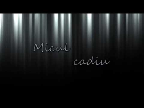 1001 de nopti - Micul cadiu