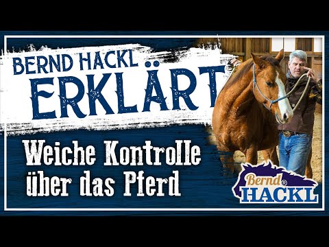 Weiche Kontrolle über das Pferd | Bernd Hackl erklärt! 🐴