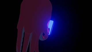 Octopus Hidden Message