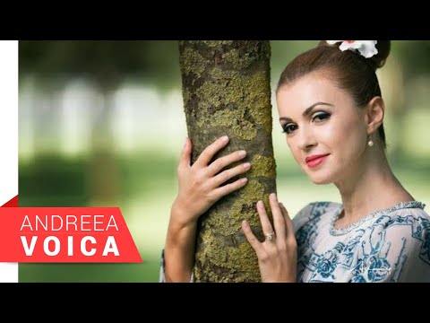 Andreea Voica - Dorule necazule (HIT NOU 2018)