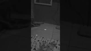 Download lagu Baik Baik Saja Happy Asmara | Story Wa mp3 Download lagu Baik Baik Saja Happy Asmara | Story Wa mp3