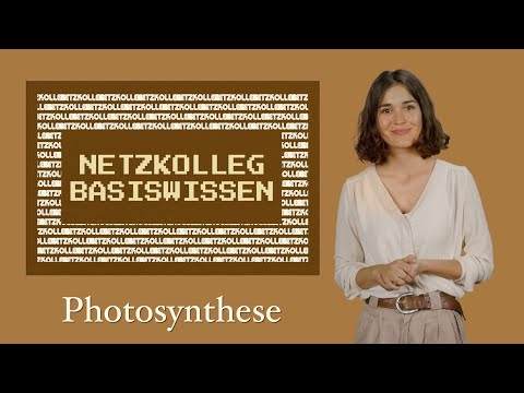 Netzkolleg Basiswissen – Photosynthese (Grundlagen der Biologie)