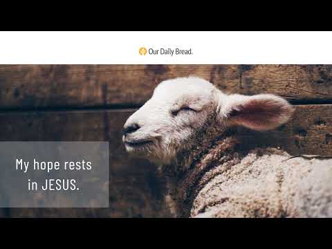 The Rest of Our Story | Audio Reading | Our Daily Bread Devotional | January 12, 2023