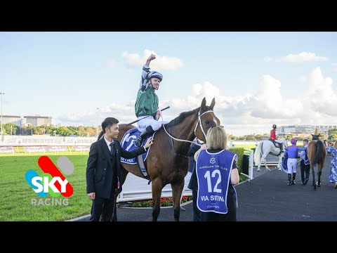 ALL 12 of Via Sistina's Group 1 wins! 🏆