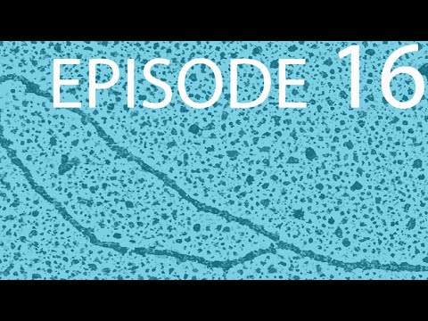 Episode 16 - DNA Synthesis & Repair