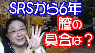 SRSから6年経過して膣や機能はどんな感じ？・りえらじ
