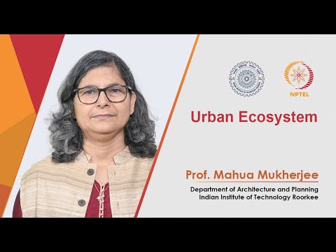 Urban Ecosystem