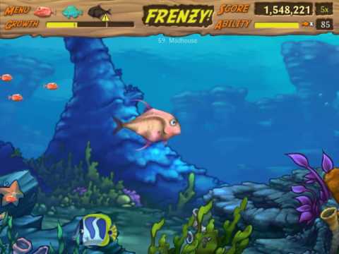 Feeding Frenzy 2 #59 Madhouse 🎮 James Games