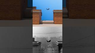 How Buster Keaton did this famous stunt in 1923 ❤️