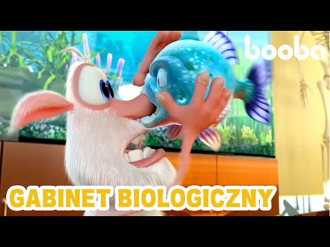 Gabinet biologiczny 🍿 Zabawne Kreskówki 🍿  Booba 🍿  Super Toons TV Po Polsku