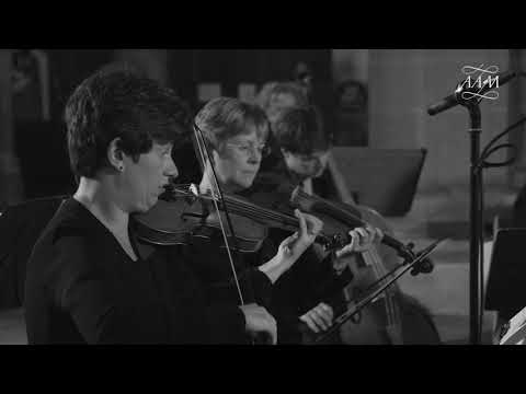 Telemann: Don Quixotte at Rest, from Overture-Suite 'Burlesque de Quixotte'