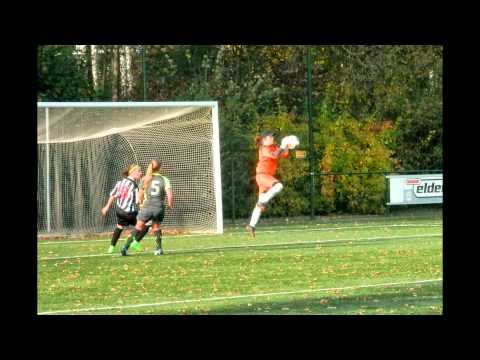 Eldenia 1 – Someren