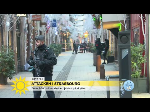 Attacken i Strasbourg: "Det här river upp gamla sår igen" - Nyhetsmorgon (TV4)