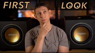 Dragon 12" Sub: First Look