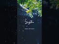 Kodaiyila Adikira Mazhaiyaa ️ Whatsapp Status Tamil Lyrics ️ Shorts Love Adukalam Dhanush