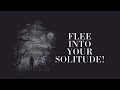 “Flee Into Your Solitude!” - On the Flies of the Marketplace