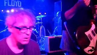 The Muffs - Ethyl My Love