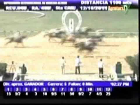 Resumen Miercoles, 12 de Octubre de 2011 - Rancho Alegre