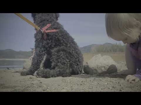 Field Trip Friday: Lake Day Adventure