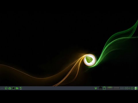 Bodhi linux 5.1.0(let's run it live). Linux vlog 5