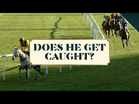 What a horse race! Could Harchibald Catch Rooster Booster who had a HUGE lead?!