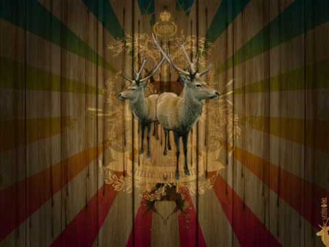 Beep Shop Boys - Kammarrajurra