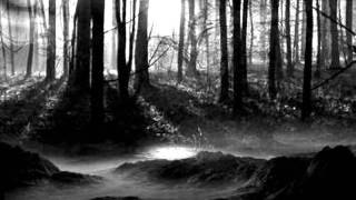 Behemoth - Hell Dwells In Ice (Instrumental Cover)