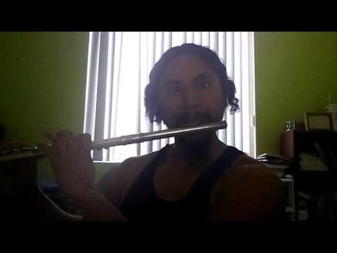 Demi Lovato - Body Say flute stuff