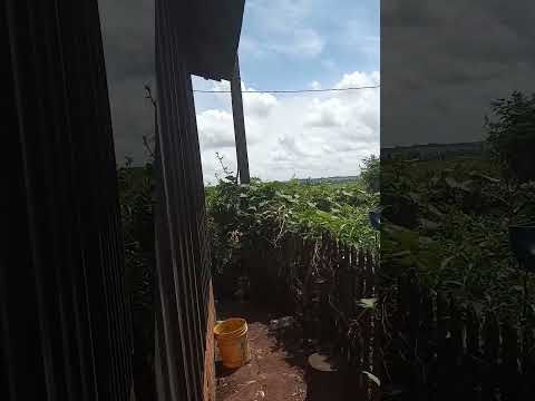 SÃO GERALDO PR MUNICÍPIO DE ARARUNA !