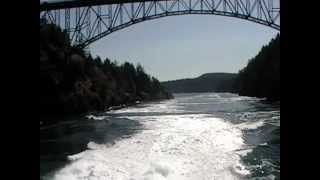 preview picture of video 'Friday Harbor Trip'