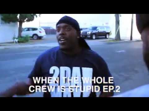 mouse mice house hice