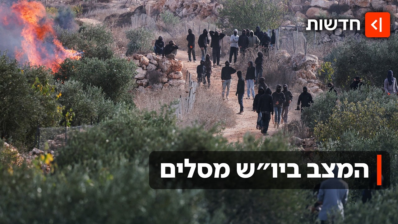 סופ״ש של אלימות ביו״ש: עיתונאית ודיפלומטים מאירופה הותקפו