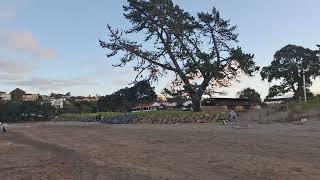Browns Bay Beach Walking Tour In Auckland New Zealand