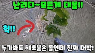 ;"와!~바람없는-날-물빠진-해변에가면-엄청난-이것?이-있을줄-몰랐다!"