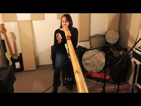 punchy track Didgeridoo